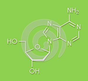 Deoxyadenosine dA nucleoside molecule. DNA building block. Skeletal formula.