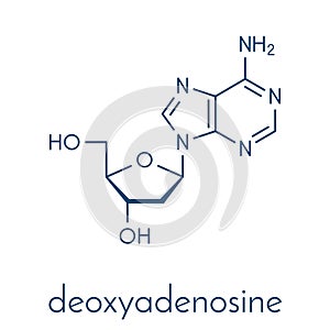 Deoxyadenosine dA nucleoside molecule. DNA building block. Skeletal formula.