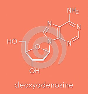 Deoxyadenosine dA nucleoside molecule. DNA building block. Skeletal formula.