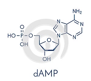Deoxyadenosine monophosphate dAMP nucleotide molecule. DNA building block. Skeletal formula.