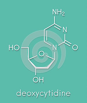 Deoxycytidine dC nucleoside molecule. DNA building block. Skeletal formula.