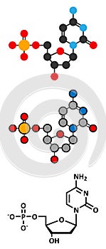 Deoxycytidine monophosphate (dCMP) nucleotide molecule. DNA building block