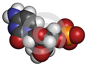 Deoxycytidine monophosphate (dCMP) nucleotide molecule. DNA building block. Atoms are represented as spheres with conventional photo