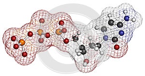 Deoxycytidine triphosphate (dCTP) nucleotide molecule. DNA building block. Atoms are represented as spheres with conventional photo