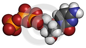 Deoxycytidine triphosphate (dCTP) nucleotide molecule. DNA building block. Atoms are represented as spheres with conventional photo