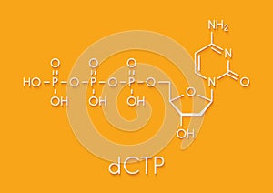 Deoxycytidine triphosphate dCTP nucleotide molecule. DNA building block. Skeletal formula. photo