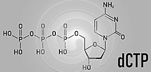 Deoxycytidine triphosphate or dCTP nucleotide molecule. DNA building block. Skeletal formula. photo