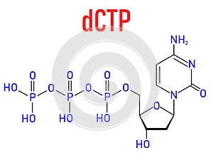 Deoxycytidine triphosphate or dCTP nucleotide molecule. DNA building block. Skeletal formula. photo