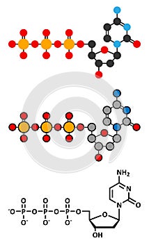 Deoxycytidine triphosphate (dCTP) nucleotide molecule. DNA building block photo