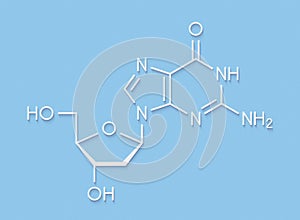 Deoxyguanosine dG nucleoside molecule. DNA building block. Skeletal formula.