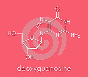 Deoxyguanosine dG nucleoside molecule. DNA building block. Skeletal formula.