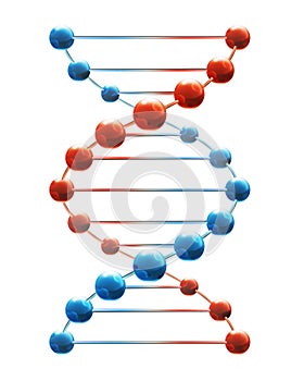 Deoxyribonucleic acid