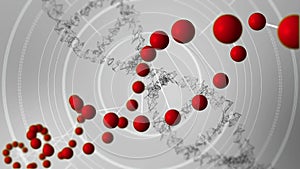 Deoxyribonucleic acid models