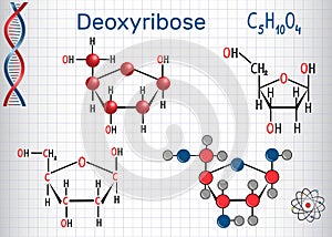 Deoxyribose molecule, it is a monosaccharide deoxy sugar,