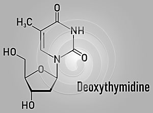 Deoxythymidine or Thymidine nucleoside molecule. DNA building block. Skeletal formula.