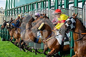 Departure of a horse race on the racetrack of Chantilly France