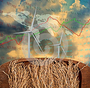 Deplorable concept, Rice paddy in wooden tray with wind turbine and growth charts