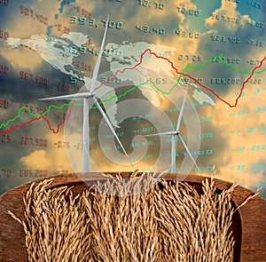 Deplorable concept, Rice paddy in wooden tray with wind turbine and growth charts photo