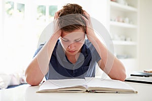 Depressed Boy Studying At Home photo