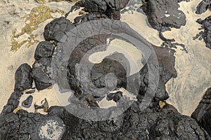 Depressions in a rock with white sand at the bottom, flooded with sea water. Small ponds excavated in lava bed on Indian Ocean