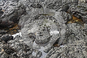 Depressions in a rock with white sand at the bottom, flooded with sea water. Small ponds excavated in lava bed on Indian Ocean