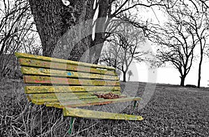 Depressive fall contrasts