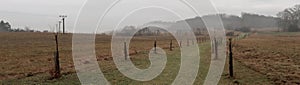 Depressive, ghostlike and foggy winters day in Czech countryside. A newly planted linden trees alley