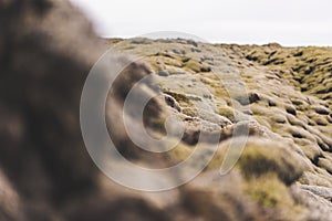 Depth of Field Over Mossy Rocks Landscape Green Flora Natural Plants Highlands