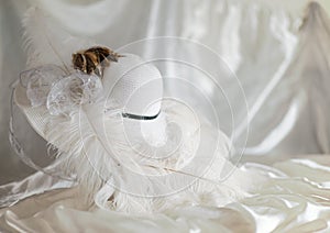 Derby hat with feathers