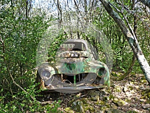 Derelict car in forest I