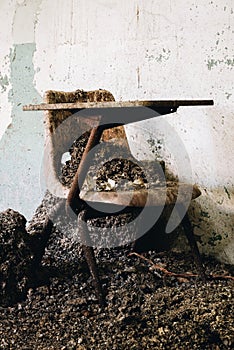 Derelict Chair + Poop - Abandoned Creedmoor State Hospital - New York