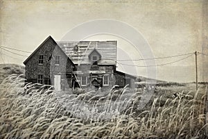 Derelict house in a field