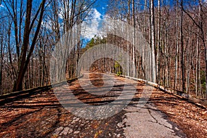 Derelict Roadway - Great Smoky Mountains National Park - North Carolina