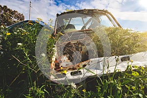 Derelict vehicles left to rust in a field in the countryside