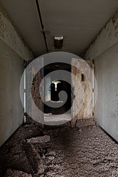 Derelict Wards + Bird Poop - Abandoned Creedmoor State Hospital - New York