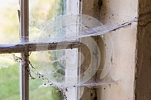 Derelict window with cobwebs