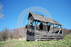 Derelict wood barn animals