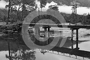 Derelict wooden bridge along the Carretera Austral