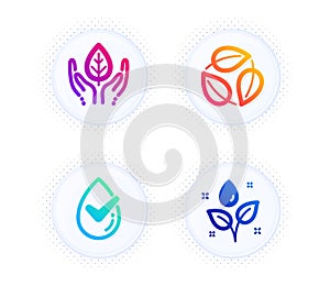 Dermatologically tested, Leaves and Fair trade icons set. Plants watering sign. Vector