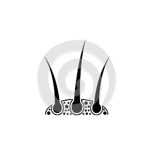 Hair icon design template illustration isolated