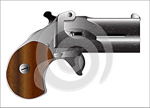 Derringer Pistol