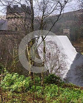 Derwent Dam an trees