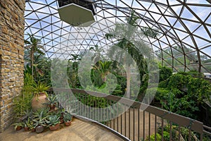 Des Moines Botanical Garden inner dome