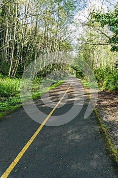 Des Moines Creek Trail 2 photo