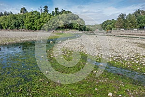 Des Moines Shoreline Stream