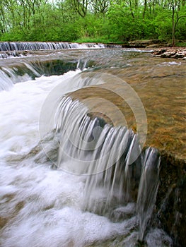 Des Plaines Conservation Area Illinois