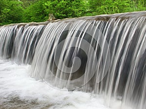 Des Plaines Conservation Area Illinois photo