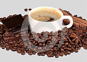 coffee beans background collection with white area for copy space.