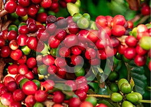 Desain tanpa judul - 31