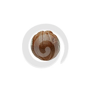 photo of cupuacu fruit on a white background